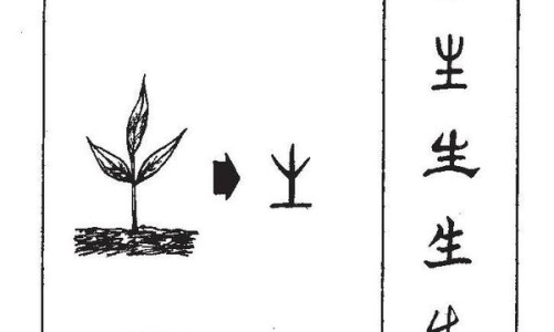 权威寻常疣和跖疣一样吗平台,分享专业寻常疣和尖锐湿疣的区别知识_寻常疣与跖疣的区别网
